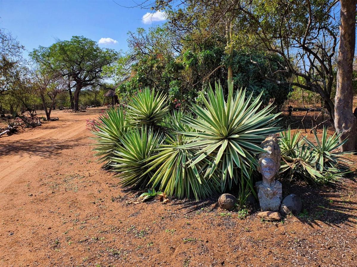 Masorini Bush Lodge & Safari Tents Phalaborwa Eksteriør bilde