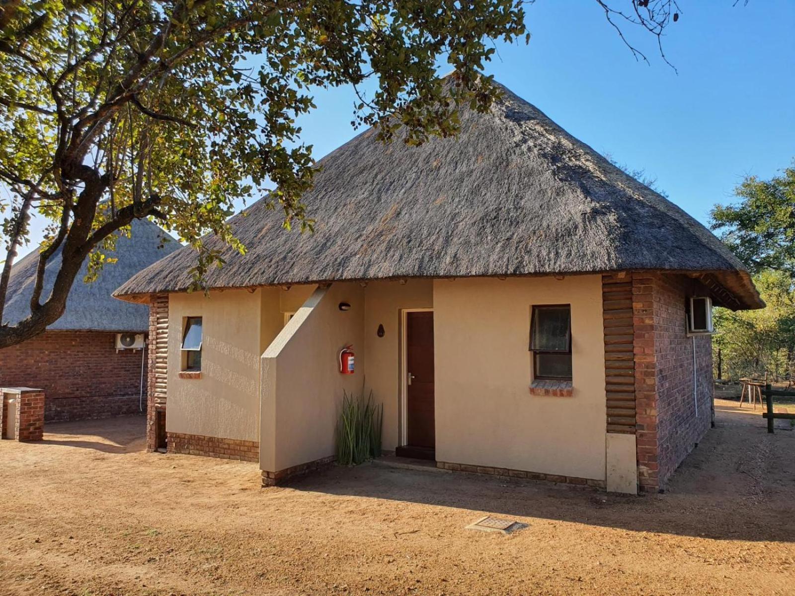 Masorini Bush Lodge & Safari Tents Phalaborwa Rom bilde
