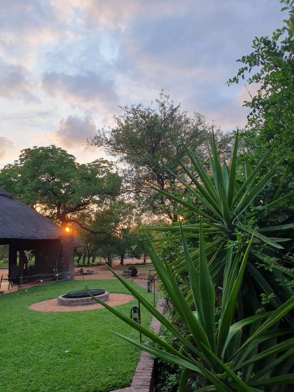 Masorini Bush Lodge & Safari Tents Phalaborwa Eksteriør bilde