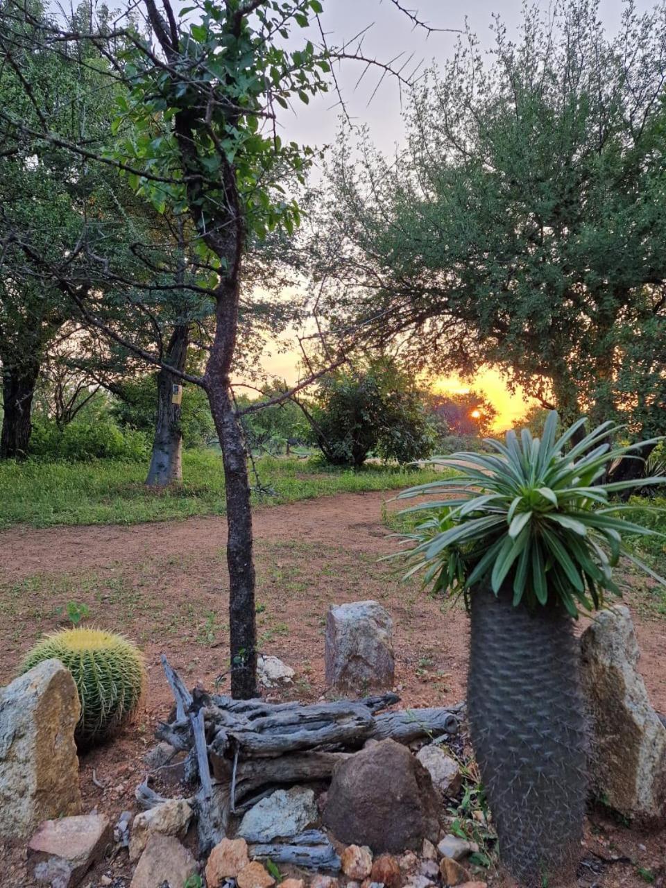 Masorini Bush Lodge & Safari Tents Phalaborwa Eksteriør bilde